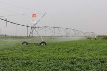 高效節水灌溉工程